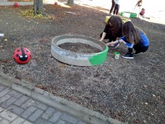 IMG_20191011_090329.jpg